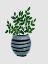 Picture of HOME FOLIAGE 4