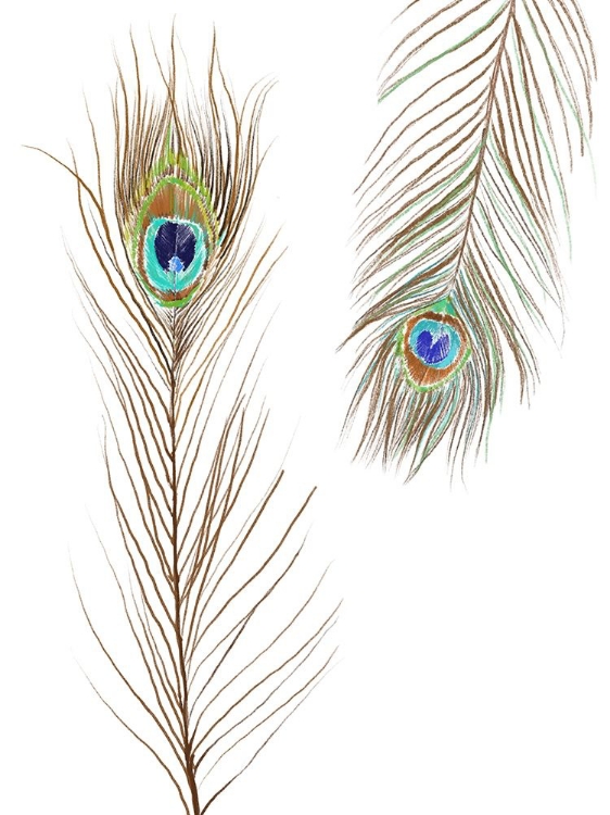 Picture of PEACOCK LOVE 2