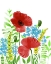 Picture of WILD FLOWERS