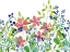 Picture of FLORAL FIELD II