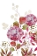 Picture of FLORAL FIELD BLOOM 2