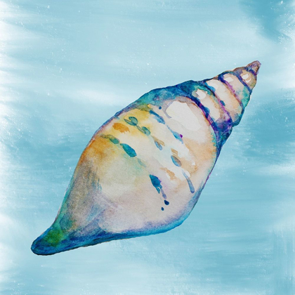Picture of SHELL 1