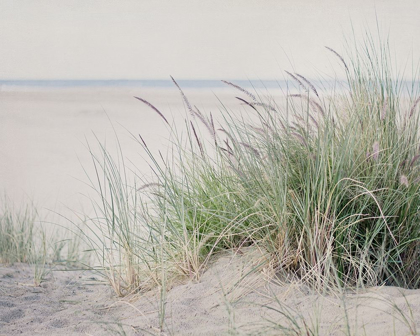 Picture of STEPS TO THE BEACH II