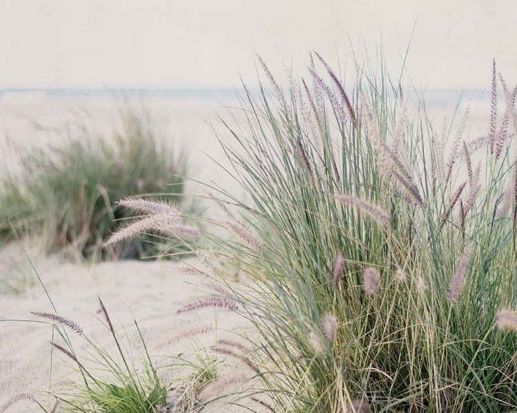 Picture of STEPS TO THE BEACH III