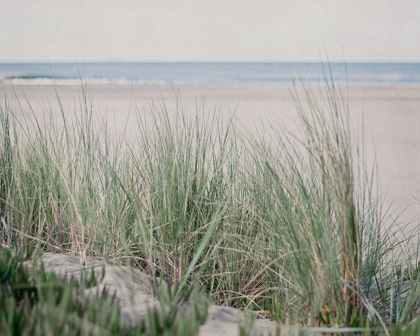 Picture of STEPS TO THE BEACH IV