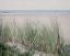 Picture of STEPS TO THE BEACH IV