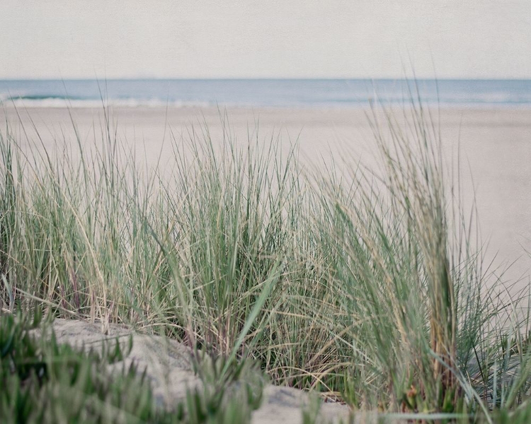 Picture of STEPS TO THE BEACH IV