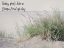 Picture of SHORE FEELINGS 2