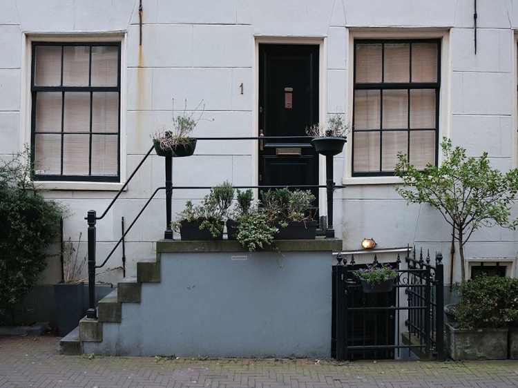 Picture of DOOR PLANTS AMSTERDAM
