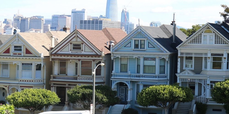 Picture of PAINTED LADIES 1