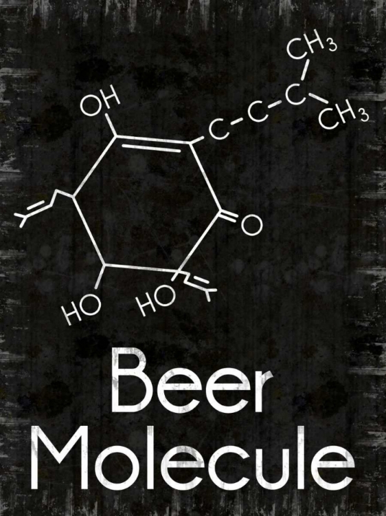 Picture of BEER MOLECULE 2 RECT