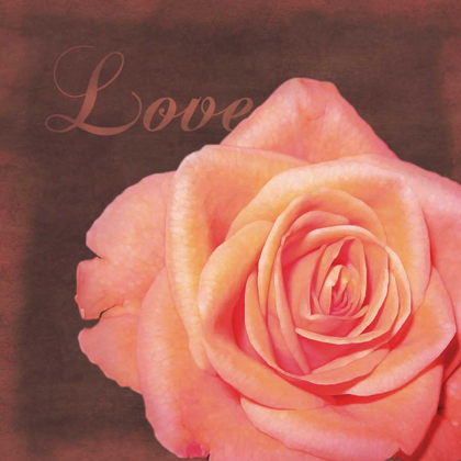 Picture of LOVE ROSE