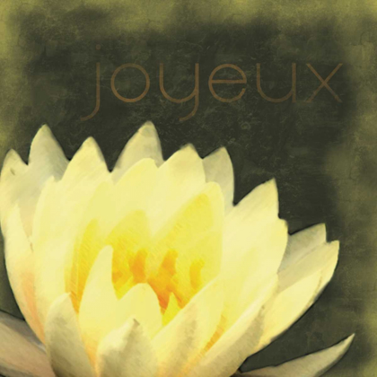 Picture of JOYEUX FLOWER