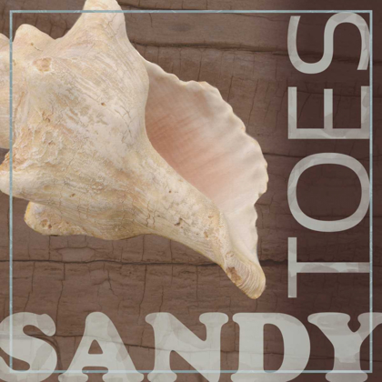 Picture of SANDY TOES