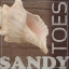 Picture of SANDY TOES