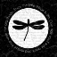 Picture of DRAGONFLY