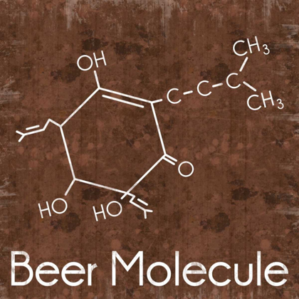 Picture of BEER MOLECULE 2 BROWN