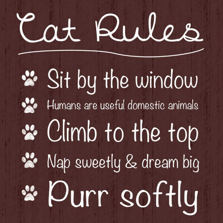 Picture of CAT RULES