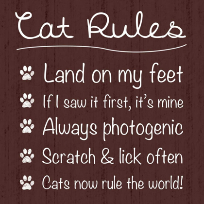 Picture of CAT RULES