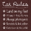 Picture of CAT RULES