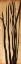 Picture of BRANCH ON WOOD