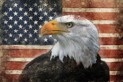 Picture of EAGLE AND FLAG