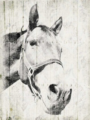 Picture of VINTAGE HORSE