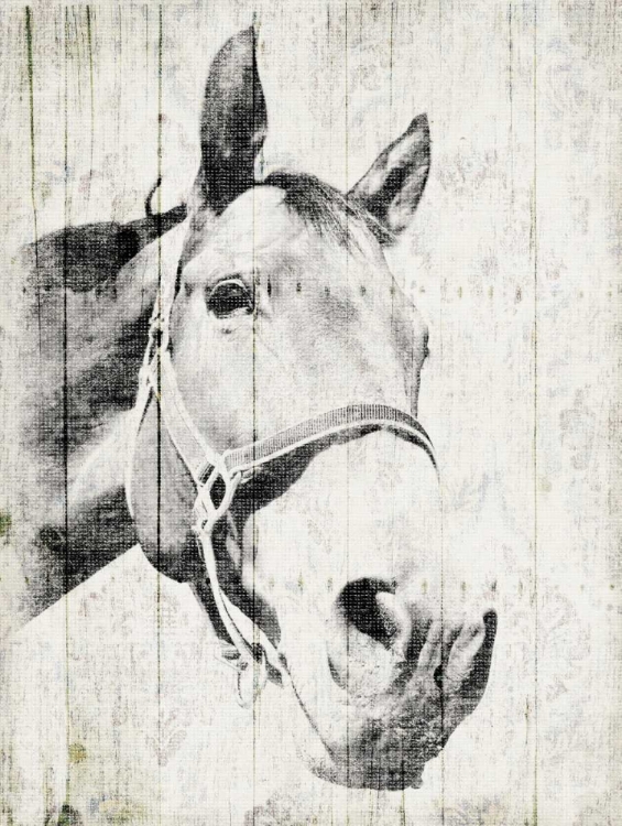 Picture of VINTAGE HORSE