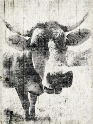 Picture of VINTAGE COW MATE