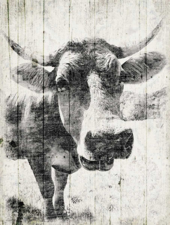 Picture of VINTAGE COW MATE