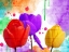 Picture of FUN TULIPS