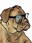 Picture of DULL HENRY