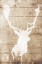 Picture of DEER DRIP MATE