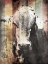 Picture of MIULTIWOOD VINTAGE COW