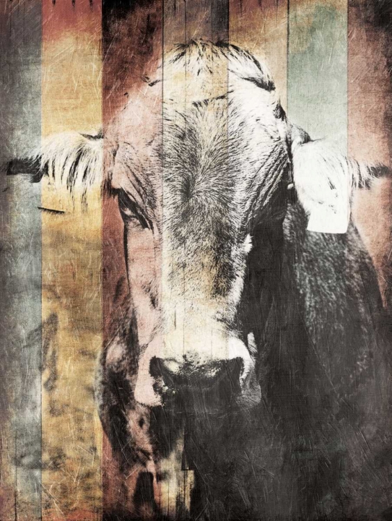 Picture of MIULTIWOOD VINTAGE COW