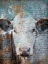 Picture of COW SCALES