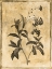 Picture of STENCIL FLORAL MATE