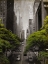 Picture of STREET GREENS
