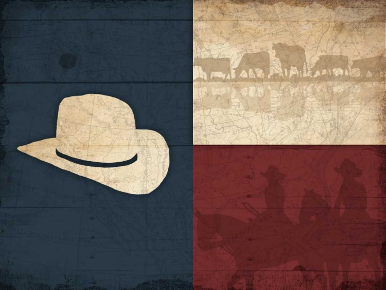 Picture of TEXAS HAT