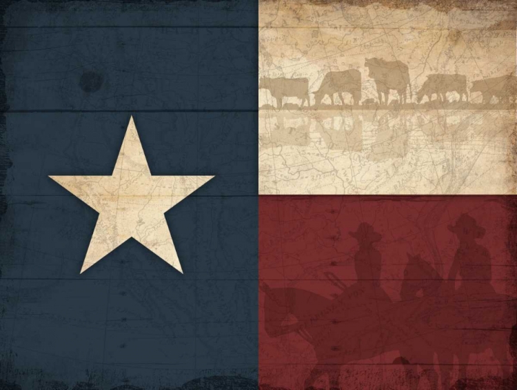 Picture of TEXAS FLAG