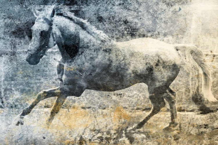 Picture of WASHED OUT HORSE