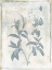 Picture of SKY FLORAL TWO