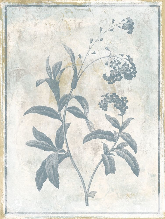 Picture of SKY FLORAL TWO