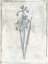 Picture of SKY FLORAL FOUR