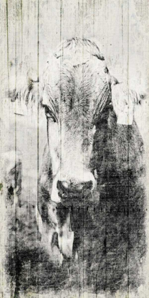 Picture of VINTAGE COW MATE