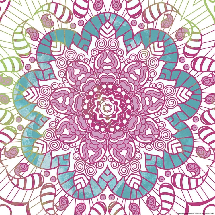 Picture of FLOWER MANDALA POP