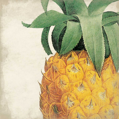 Picture of PINEAPPLE