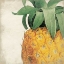 Picture of PINEAPPLE