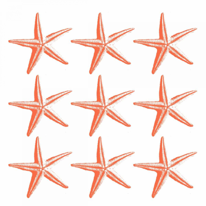 Picture of STARFISH TROPICAL