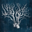 Picture of WOOD CORAL FIVE